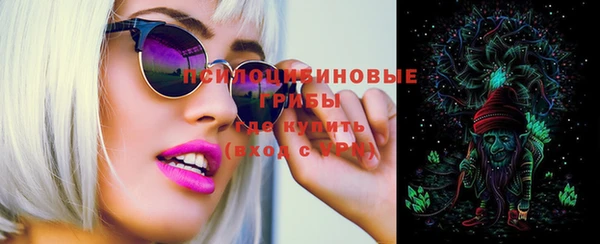 тгк Верея