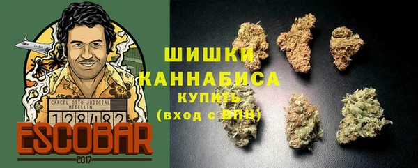 дживик Верхний Тагил