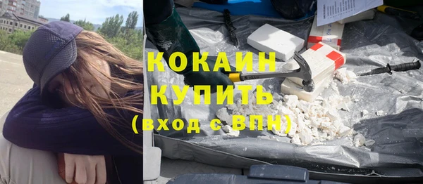 дживик Верхний Тагил