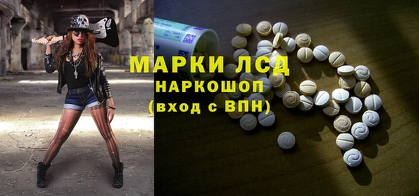 шишки Вязьма